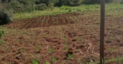 50 x 100 Plot for Sale in Ondiri, Kikuyu Neighborhood for Modern Residential Homes