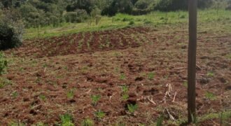 50 x 100 Plot for Sale in Ondiri, Kikuyu Neighborhood for Modern Residential Homes