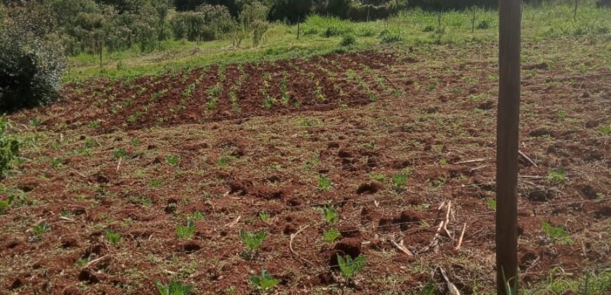 50 x 100 Plot for Sale in Ondiri, Kikuyu Neighborhood for Modern Residential Homes