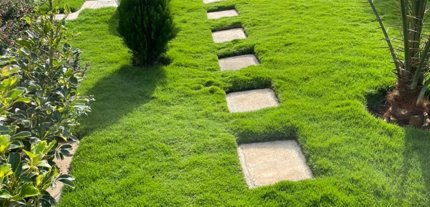 5 Bedroom Modern Villa House for Sale