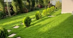 5 Bedroom Modern Villa House for Sale